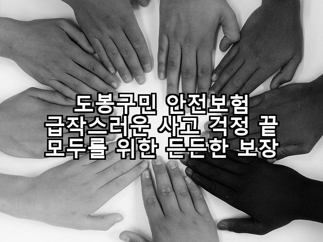 도봉구민 안전보험 급작스러운 사고 걱정 끝 모두를 위한 든든한 보장