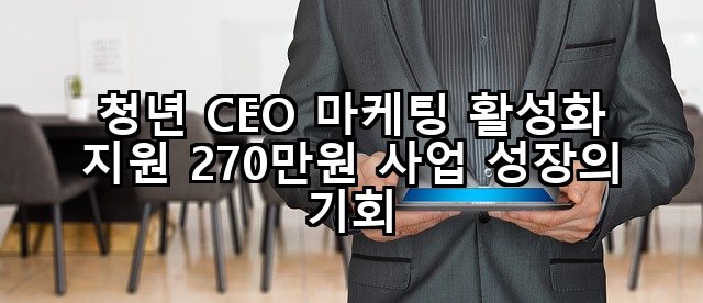 청년 CEO 마케팅 활성화 지원 270만원 사업 성장의 기회
